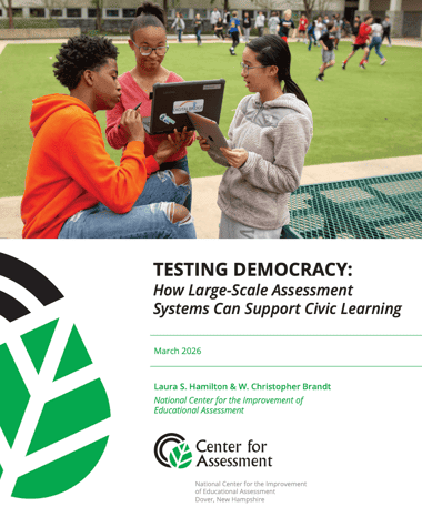 Testing Democracy report cover